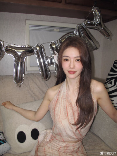 蔡文静