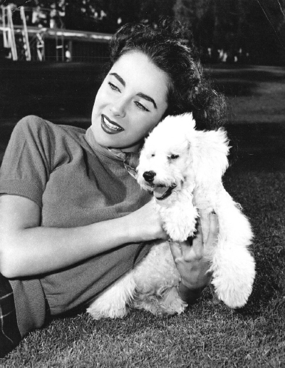 Elizabeth Taylor ​​​