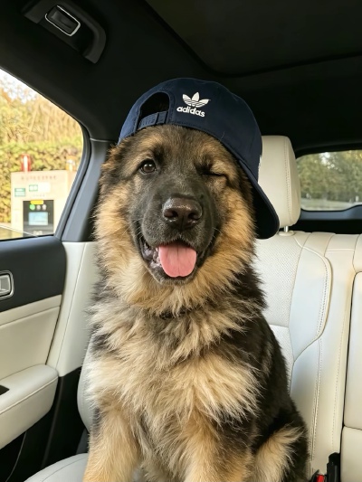 ～