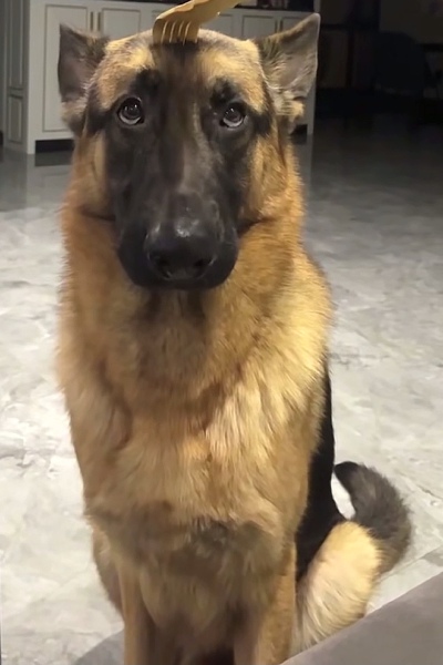～
