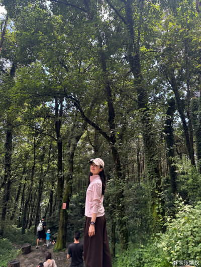 张婧仪