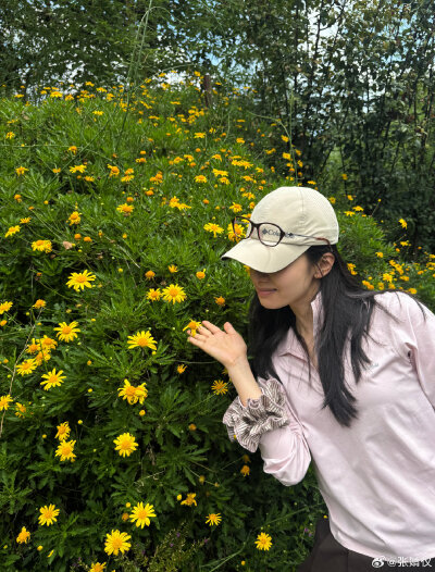 张婧仪