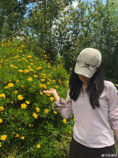 张婧仪
