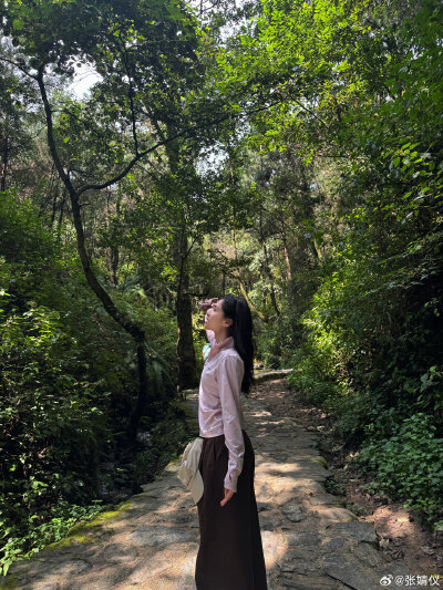 张婧仪