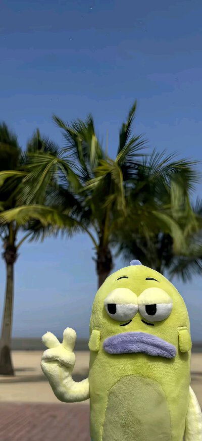 手机壁纸