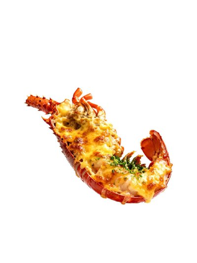 虾类食物白底头像
