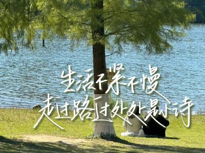 文字壁纸