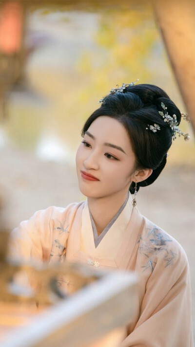 邓恩熙《花开锦绣》傅庭芸