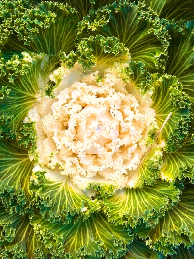 日常
你的气味和目光是我的第二层皮肤。