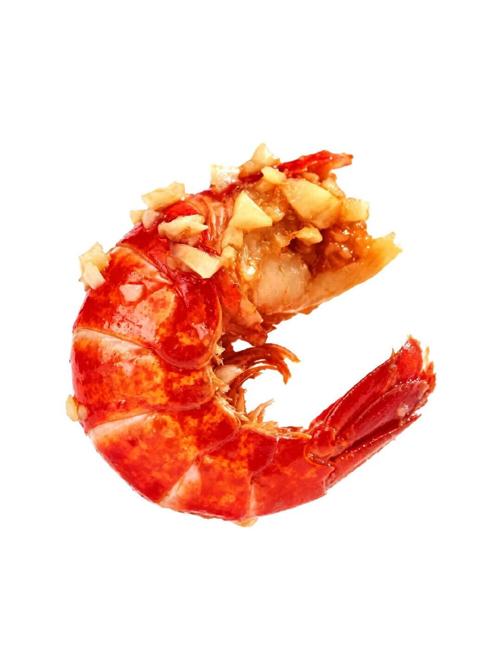 虾类食物白底头像