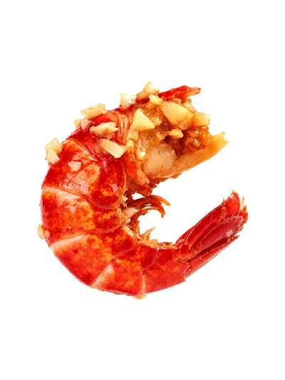 虾类食物白底头像