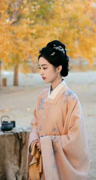 邓恩熙《花开锦绣》傅庭芸