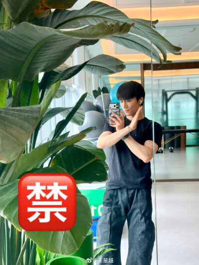 王星越