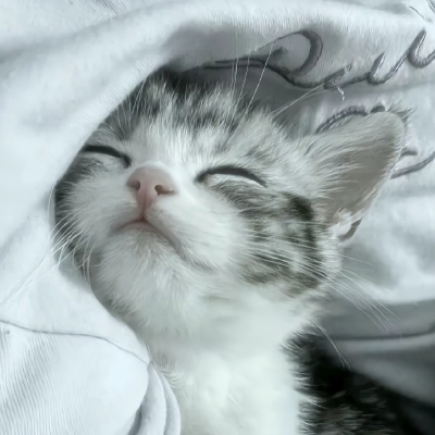 ♡⸝⸝⸝•༝•⸝⸝⸝♡