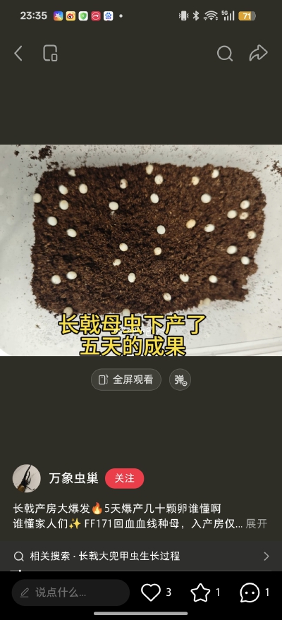 。