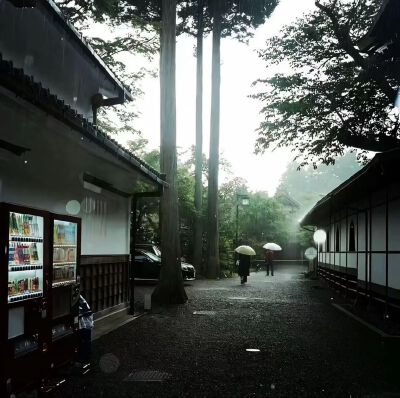 背景图