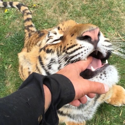 ～