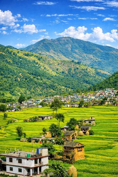 风过原野的行旅