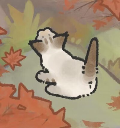 猫咪的四季可爱头像