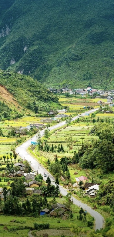 风过原野的行旅