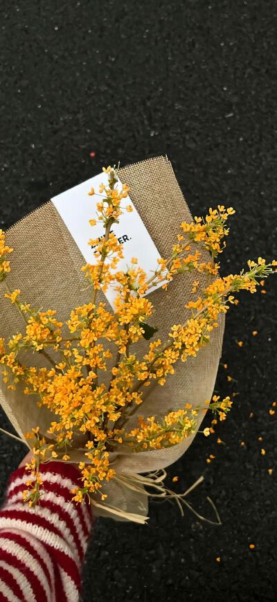 #قدرات خارقة