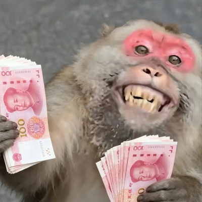 monkey