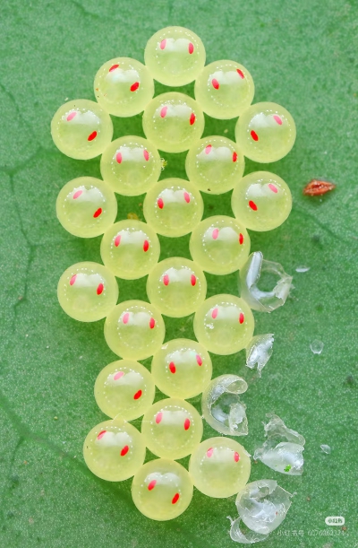 。