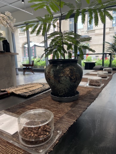 Aloe coffee