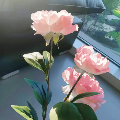 背景图