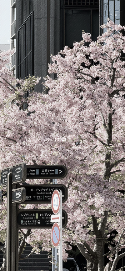 。