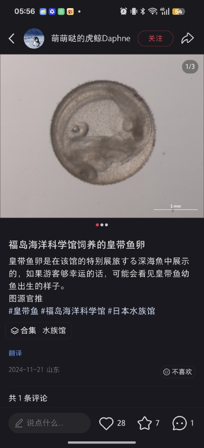 。