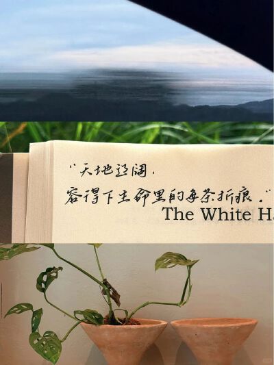  背景