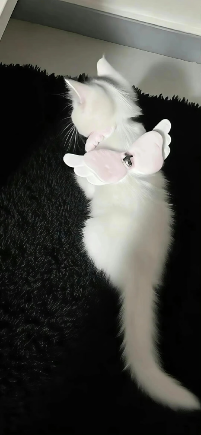 。