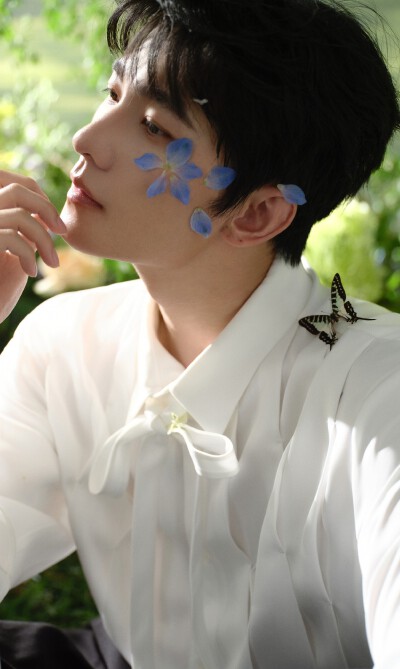 杨洋
