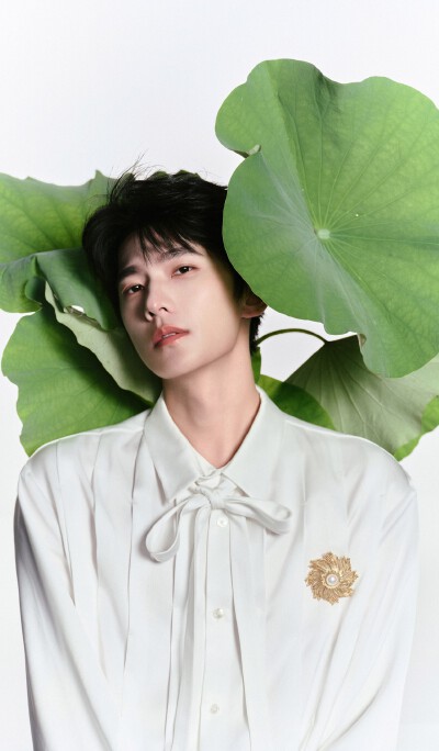 杨洋