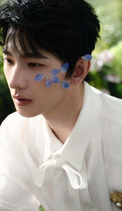 杨洋
