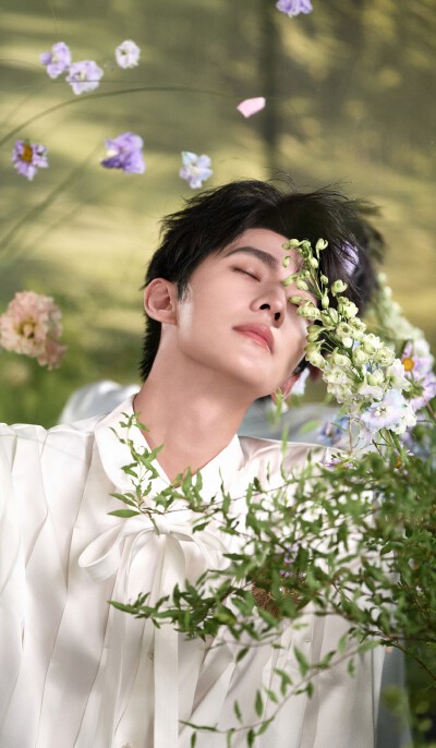 杨洋