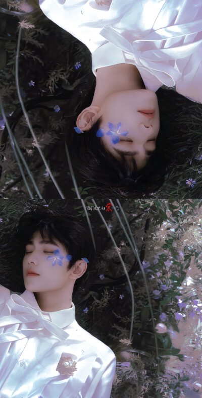 杨洋