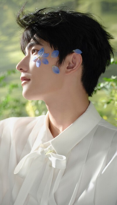杨洋