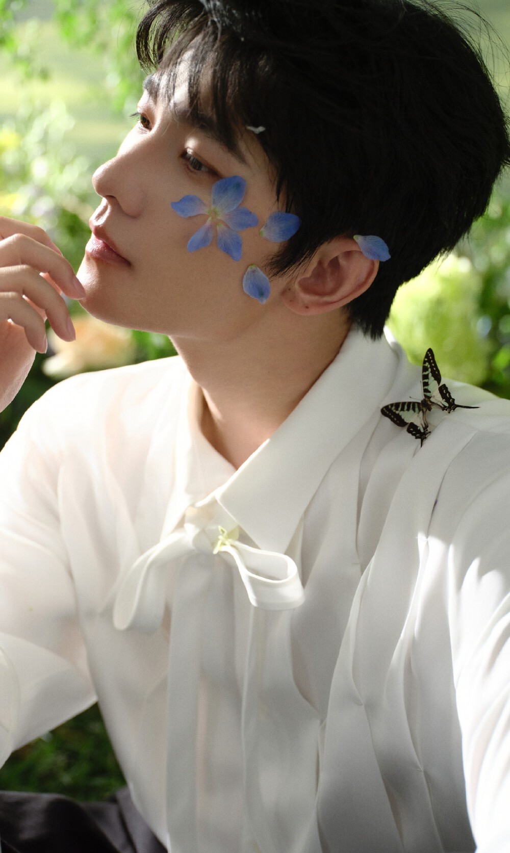 杨洋