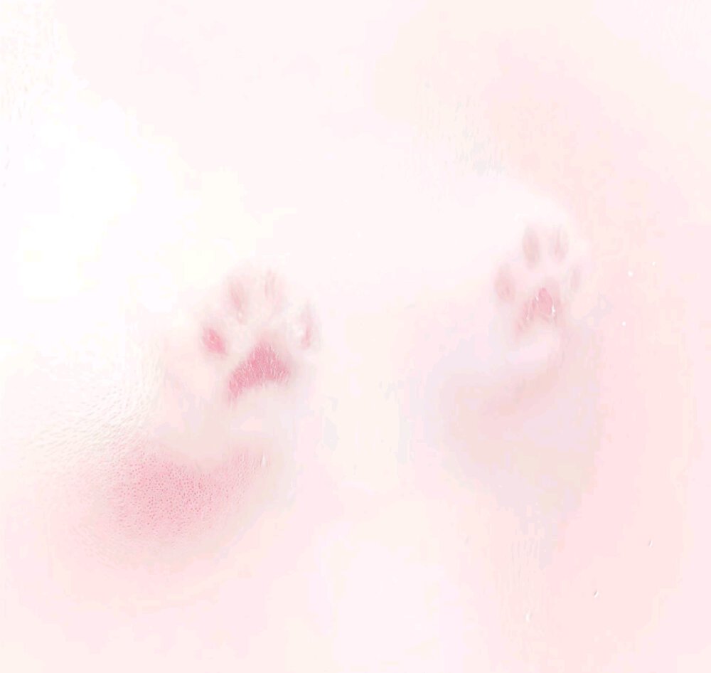 粉色系背景图
