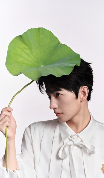 杨洋