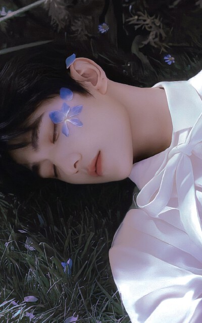 杨洋