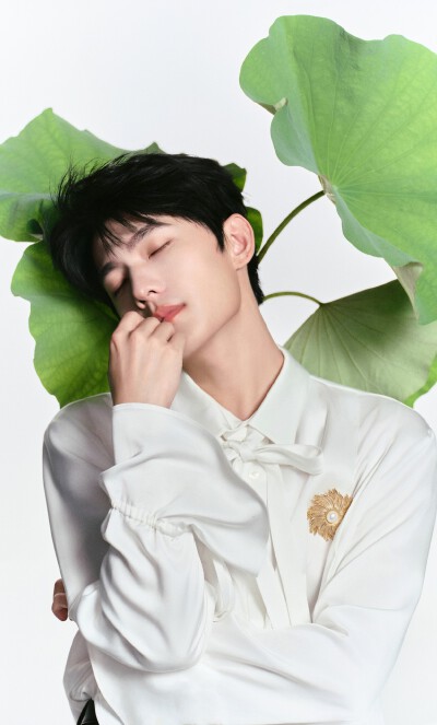杨洋
