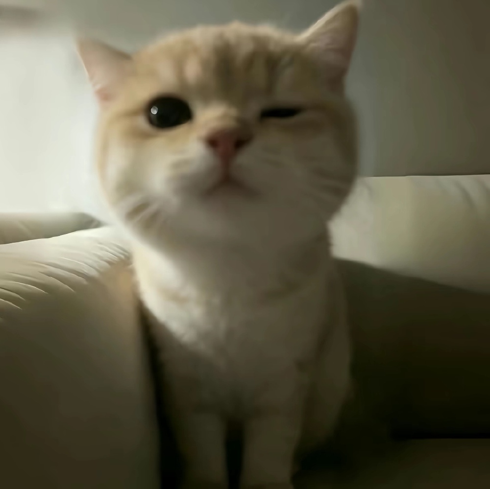 ～