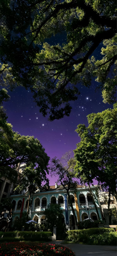 手机壁纸 | 聊天背景图 | ins风壁纸