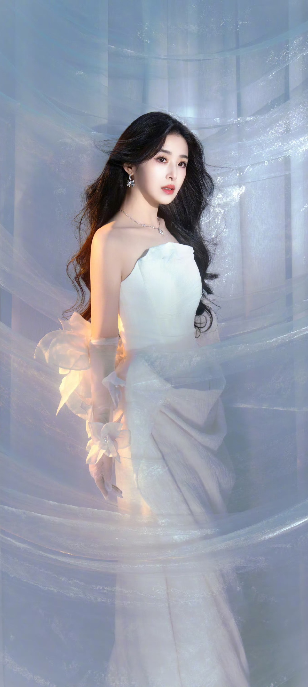 张含韵
