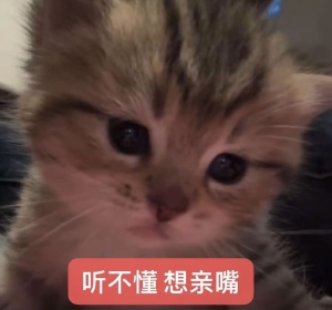 。