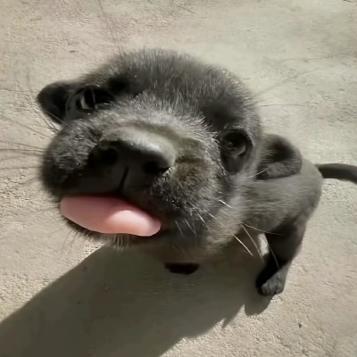 ～