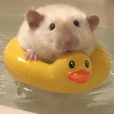 ～